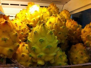 麒麟果