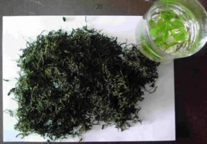 水滿茶
