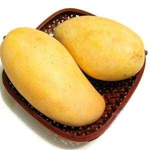 臺農(nóng)芒