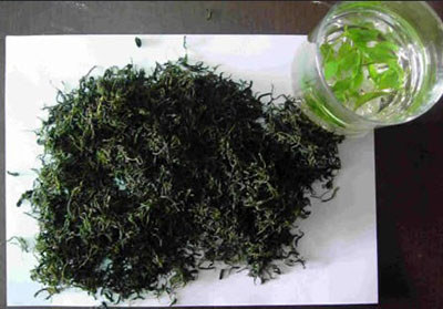 水滿茶青