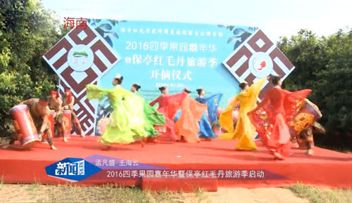 保亭紅毛丹旅游季開啟(新聞報道)