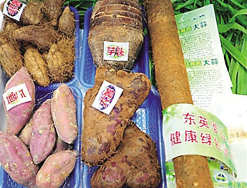 東英長壽五糧