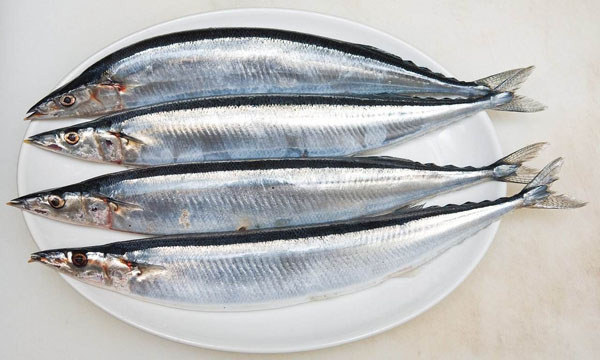 秋刀魚
