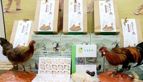 香雞亮相第二屆海博會（屯昌）展館