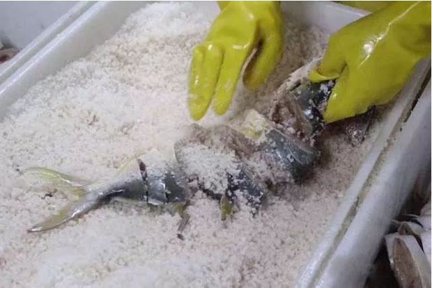 用鹽腌制金鯧魚