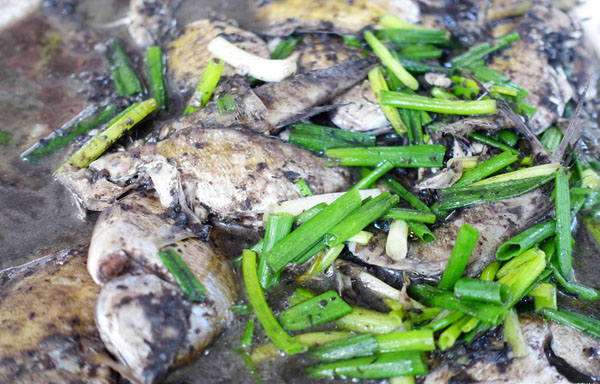 扁豆醬燜海魚