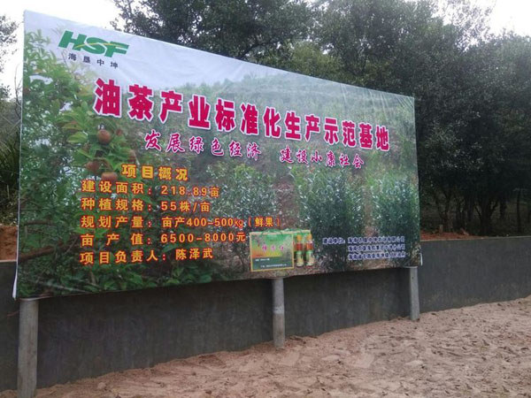 中坤農場公司油茶標準化生產示范基地項目概況