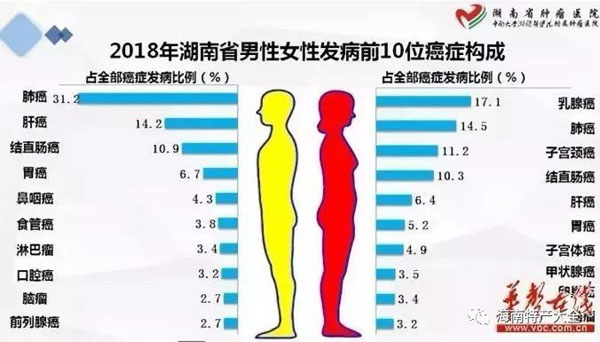 2018年湖南省男性女性發病前10位癌癥構成