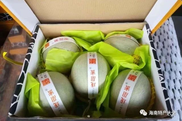 玫瓏蜜瓜