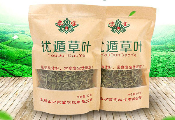 憂遁草